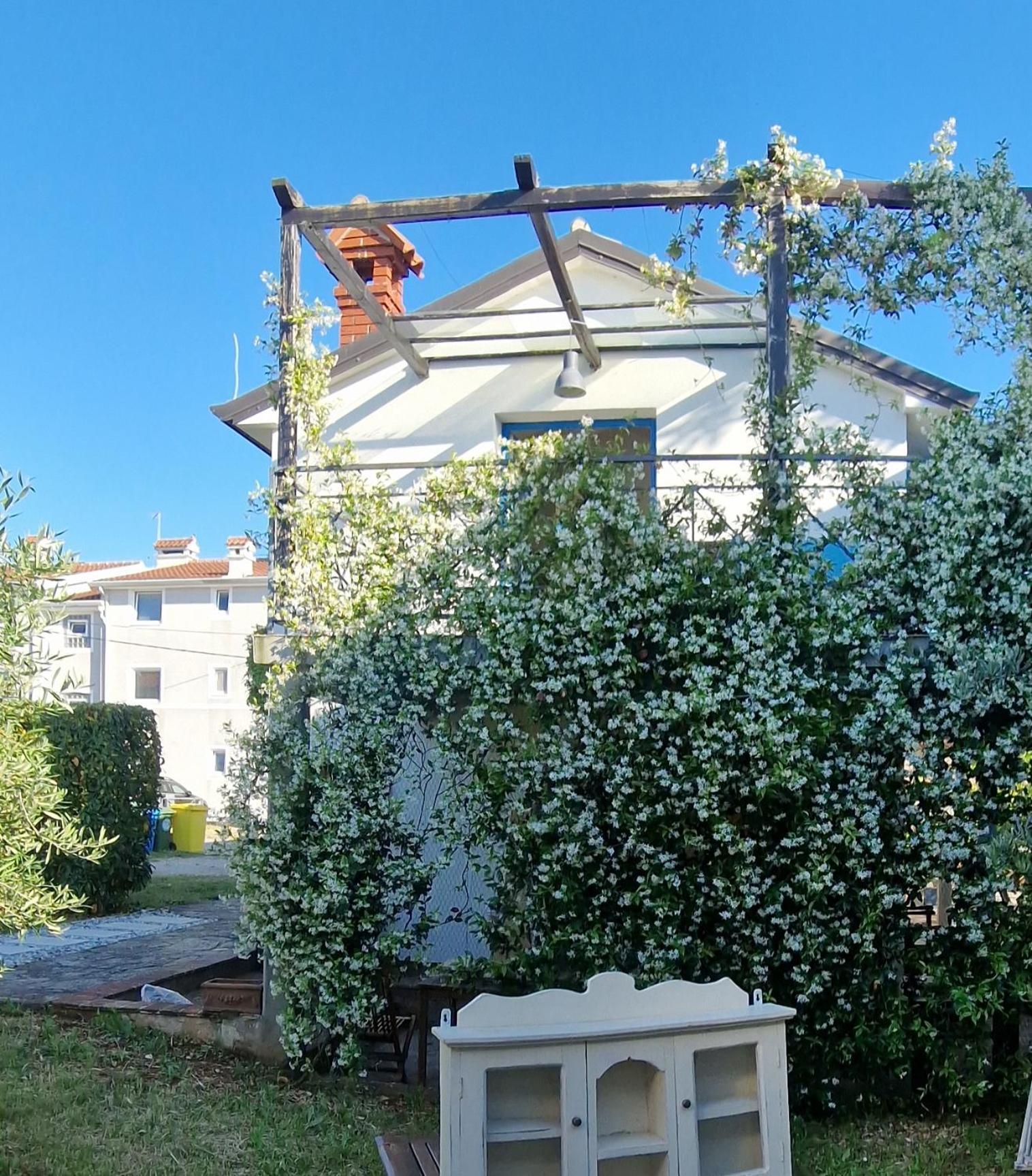Apartments Ivas Zambratija  Bagian luar foto